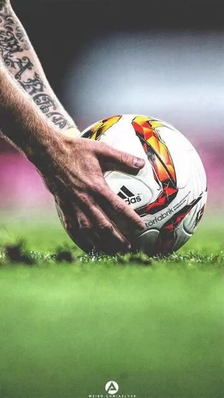 甲冠军和欧 甲冠军和欧