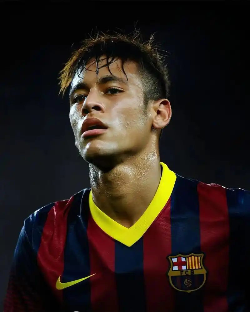 功引入帕拉 功引入帕拉