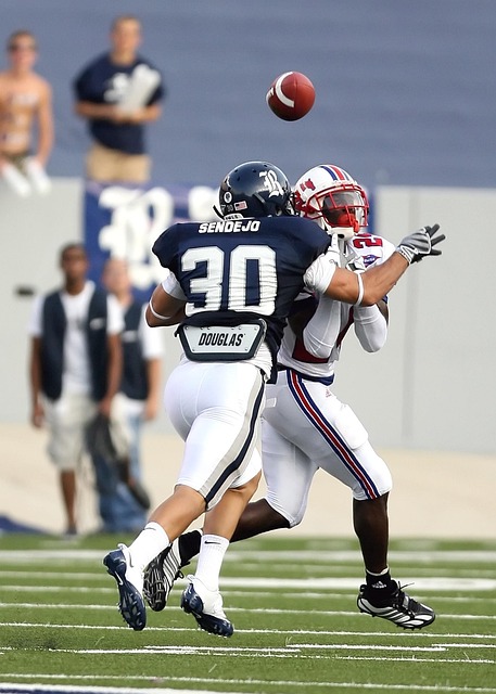 人职业发展 人职业发展