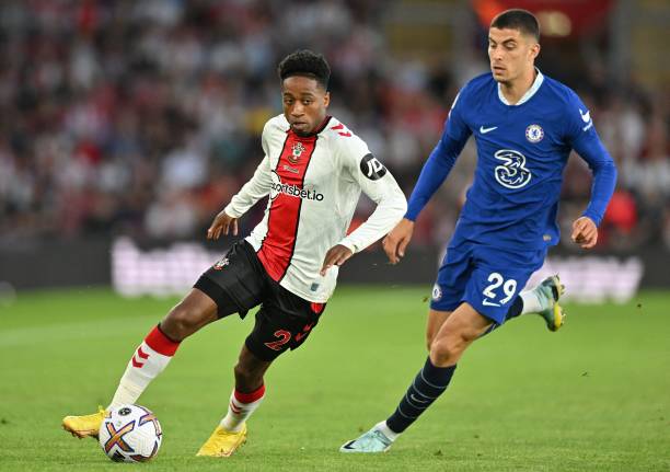 顽强的精神 顽强的精神